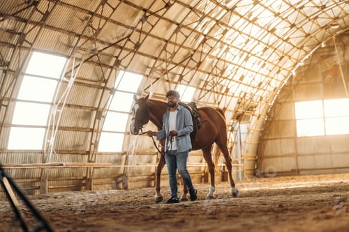 Preview: Walking around together. Man is with horse in the hangar