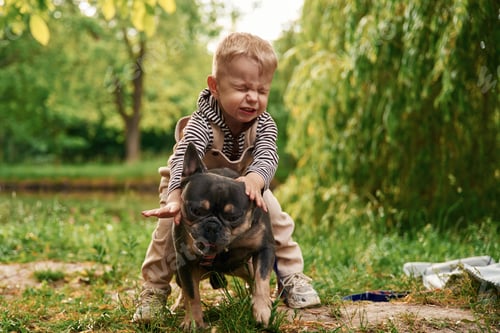 Preview: Riding the animal, sitting on it. Cute little boy is with French Bulldog outdoors in the park