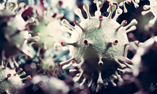 Preview: Coronavirus cells in microscopic view. Virus from Wuhan