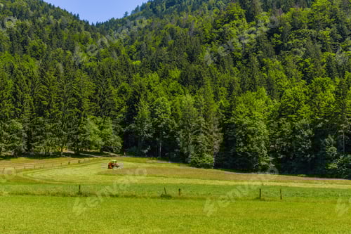 Preview: Tractor working on green field or pasture under lush forest.