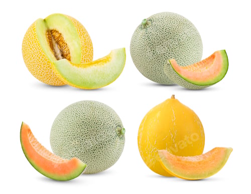 Collection of Fresh and Delicious Melon Varieties