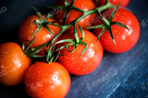 Preview: Closeup of fresh organic tomatoes