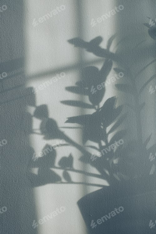 Preview: Shadows of flowers house plant on wall wallpapers grey background. Desing, ard, abstract concept