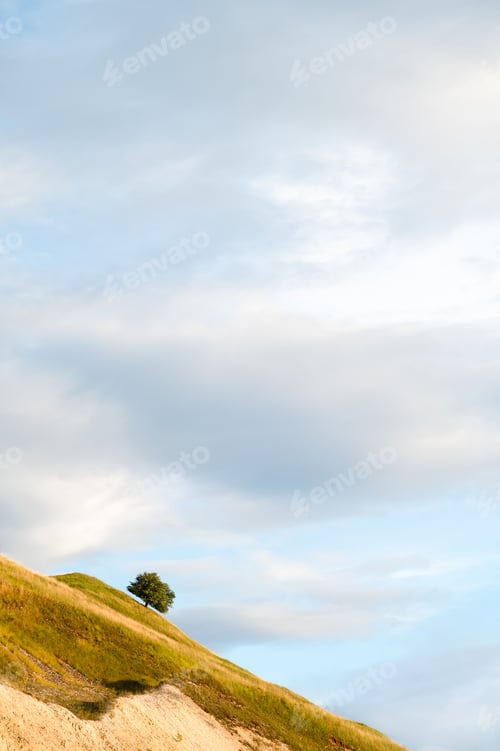 Preview: Lonely tree on a grassy hill under a cloudy sky at sunset