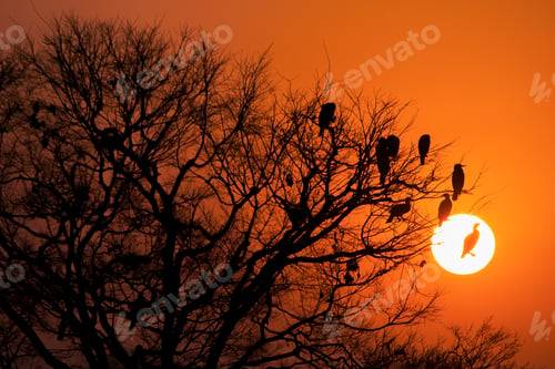 Preview: Beautiful Landscape Snap.