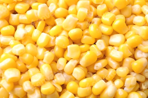 Preview: Ripe corn kernels as background, top view