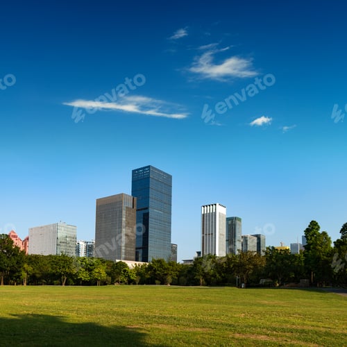 Preview: The grass and the city