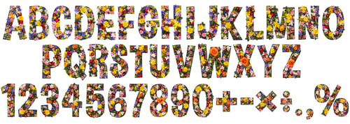 Preview: Flower font, a spring alphabet from real living flowers with a white background.