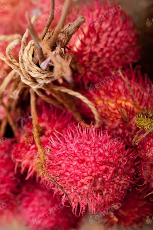Preview: fresh rambutan fruits