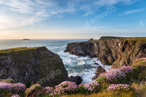 Preview: Longcarrow Cove