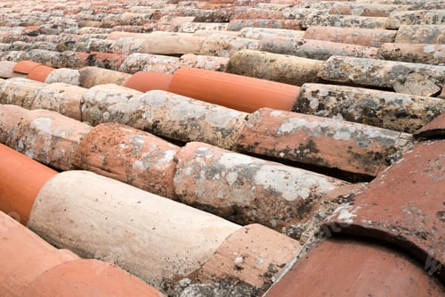 Preview: Close up view on the terracota roof tiles