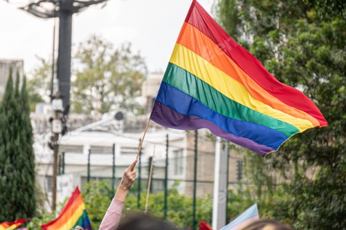 Preview: Closeup shot of a person's hand holding a Rainbow flag during the LGBT parade
