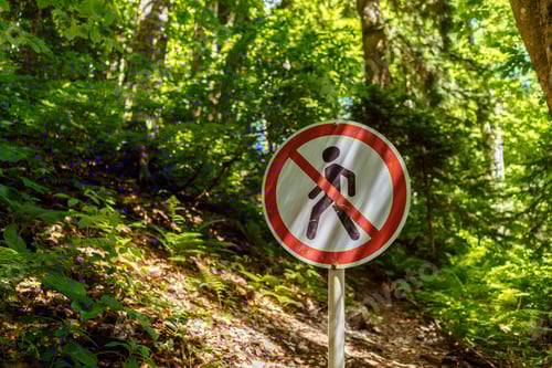 Preview: walking forbidden sign in park or forest
