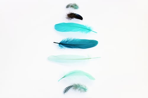Preview: Feathers in blue