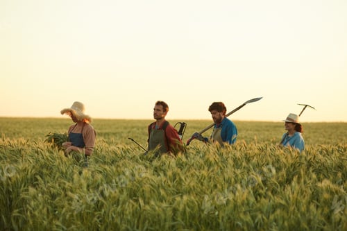 Preview: Workers Walking in Rye Field