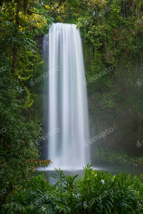 Preview: Beautiful view of Millaa Millaa Falls cascading down, Atherton Tablelands of North Queensland
