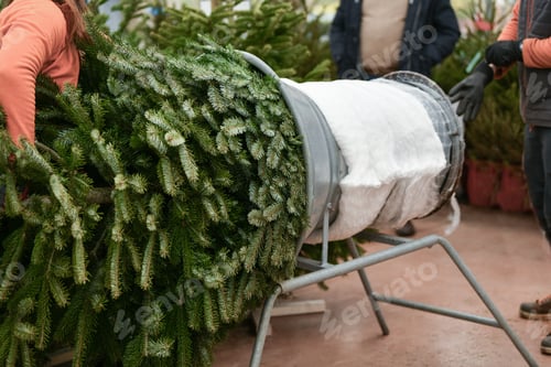 Preview: Wrapping a Christmas Tree For Transport Home