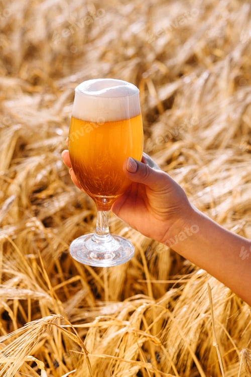 Preview: glass of beer in hand against the background of wheat field
