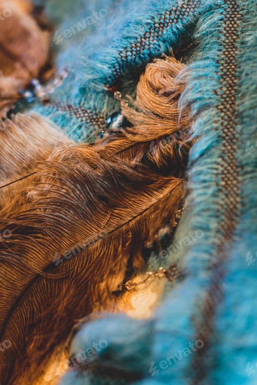 Preview: Vertical shot of brown and blue fluffy decorative feathers