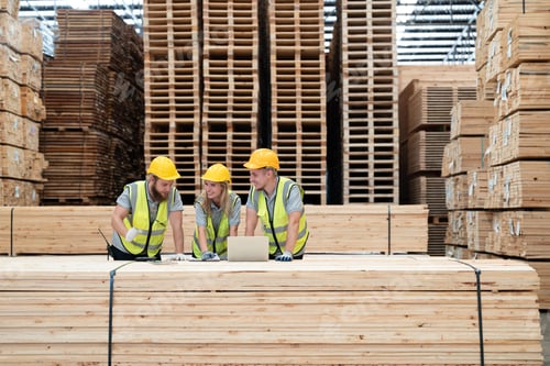 Preview: Man and woman workers using laptop discussing and checking wood plank material in factory warehouse.