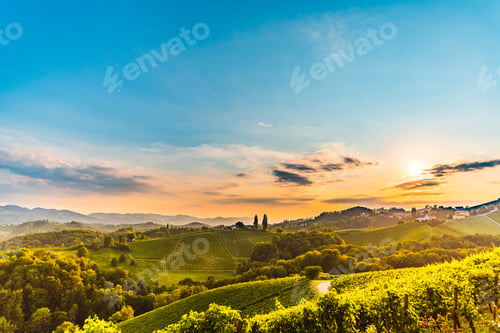 Preview: View from famous wine street in south styria, Austria at tuscany like vineyard hills