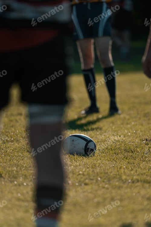 Preview: Rugby ball on a grass pitch