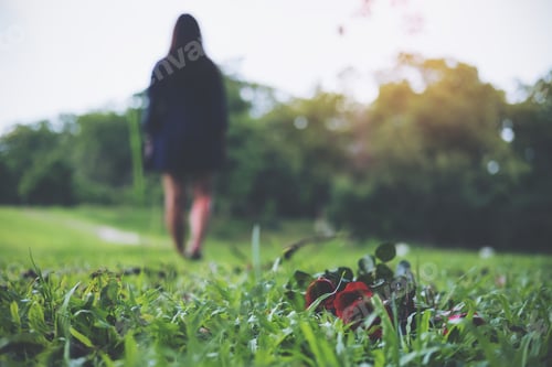 Preview: A woman turn back and walk away from red color roses flower on green grass field