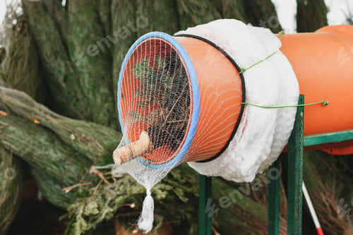 Preview: A Christmas tree packed in a plastic net