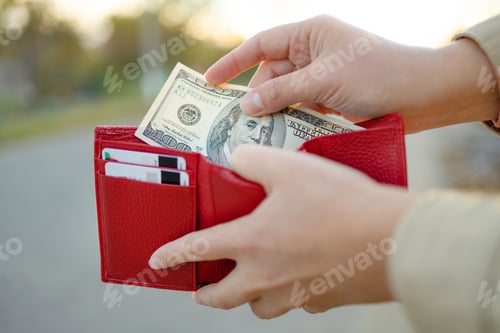 Preview: Female holding in hands wallet with dollars money. Banking money, financial management, saving funds