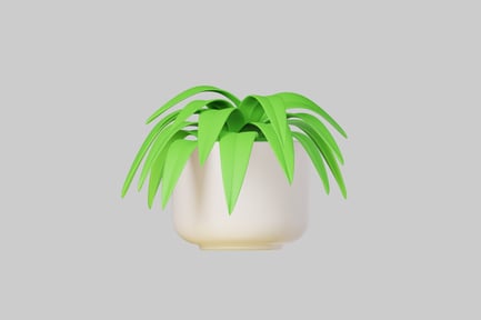 Preview: Green leaves of a potted plant.