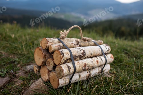 Preview: Birch firewood is lying on the green grass. A fire of wood. Harvesting firewood for the winter