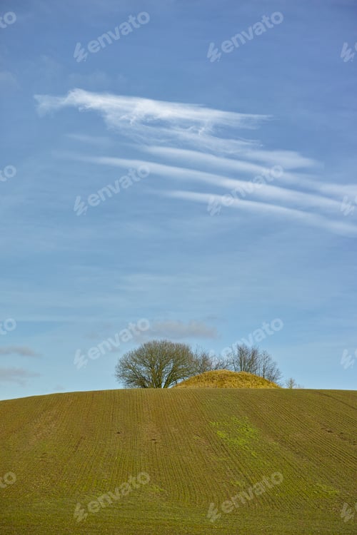 Preview: Trees on a picturesque hilltop