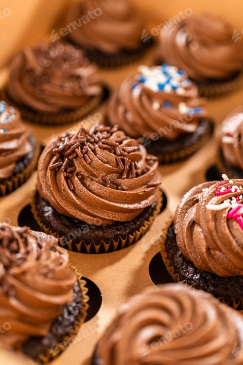 Preview: Delicious Chocolate Cupcakes with Sprinkles in a Box
