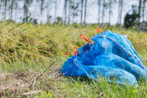 Preview: A blue mesh bag filled with rice seed samples