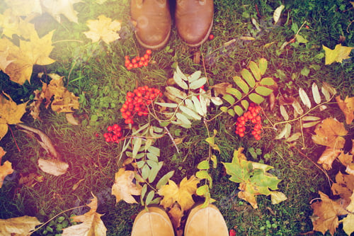 Preview: feet in boots with rowanberries and autumn leaves