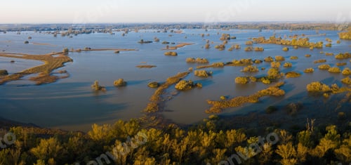 Preview: Flooded inundation of Moravia river with water outside riverbanks