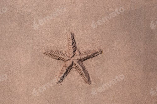 Preview: Sculpture, decor and bas-relief concept - Starfish in the wall