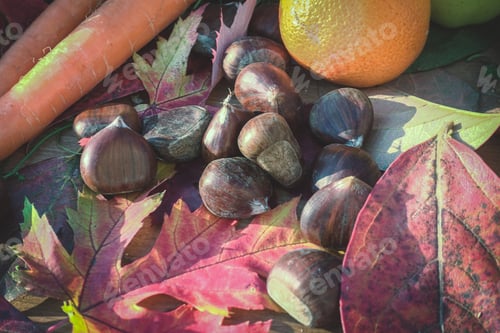 Preview: autumn still life with fruits and vegetables - view from above