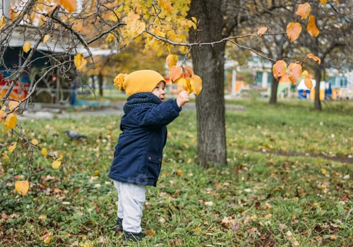 Preview: Cute baby boy in fashionable casual clothes explores the world in the autumn nature park