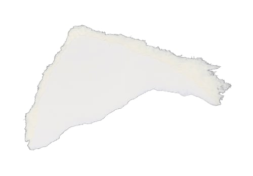 Preview: white paper ripped torn isolated on white background