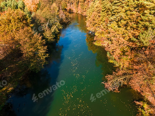 Preview: River Brda in autumn and colorful forest at sunrise, Poland.