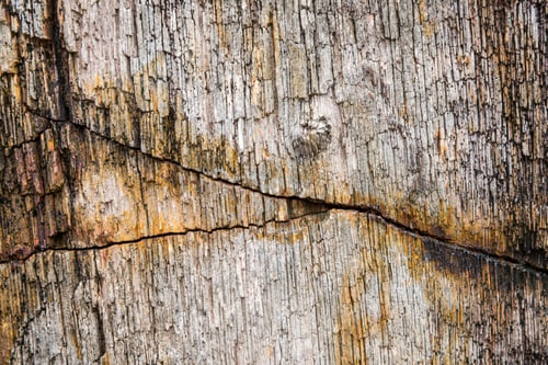 Preview: Rough and cracked texture stone surface
