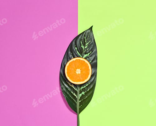 Preview: Palm Leaf