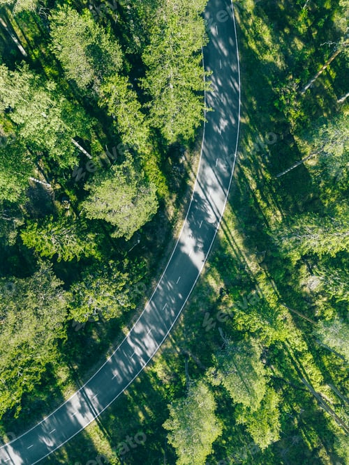 Preview: Aerial view of forest road in summer.
