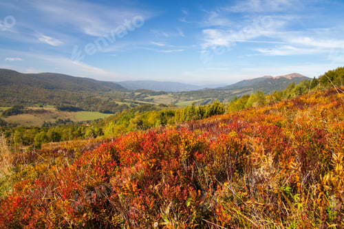 Preview: Panorama on Carpathians mountains.