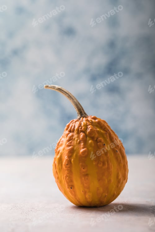 Preview: Juicy pumpkin on a pastel blue background. Autumn, fall, halloween concept.