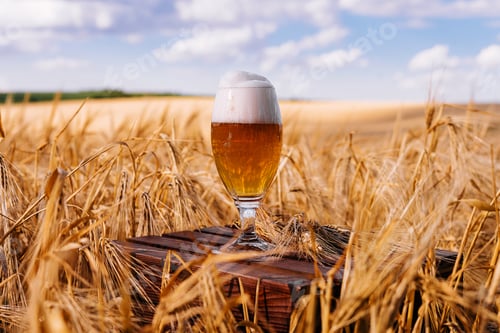 Preview: a glass of beer in a wheat field