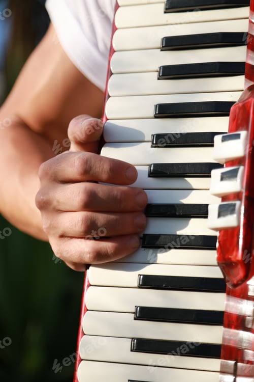 Preview: Hand Of A Professional Accordion Player