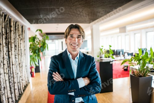Preview: Portrait of smiling businessman in office