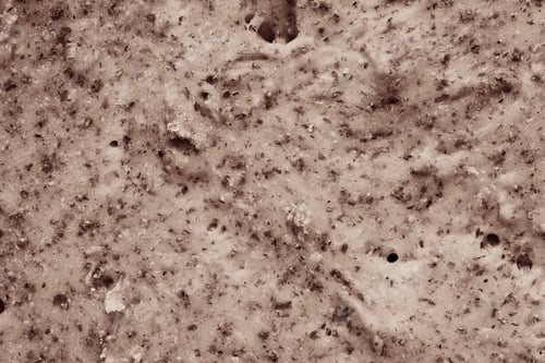 Preview: Natural Tinted Texture A Closeup Of The Test For An Abstract Background Or For Wallpaper Of Brown